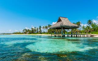 Consejos para Elegir el Mejor Tour en Punta Cana