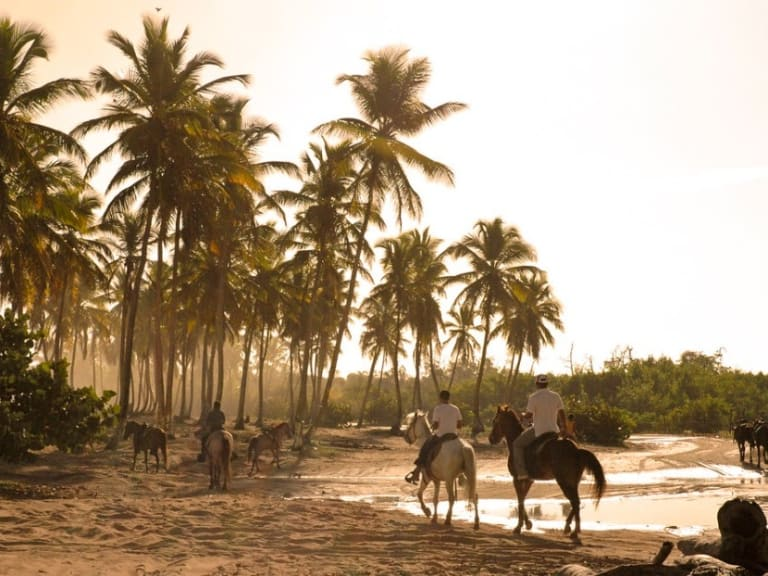 Excursión a Playa Macao
