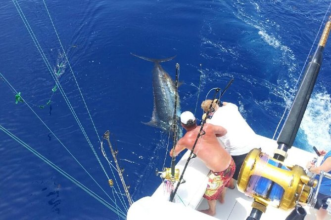 Tour de Pesca en Alta Mar