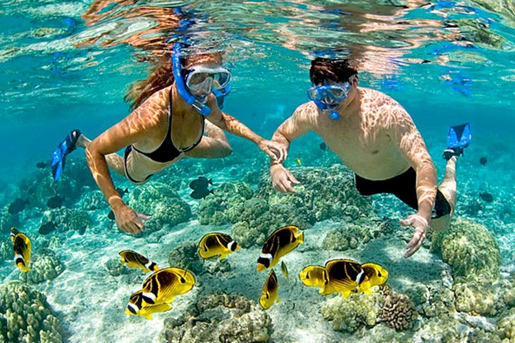 Tour en Catamarán con Snorkel